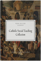 Catholic Social Teaching Collection